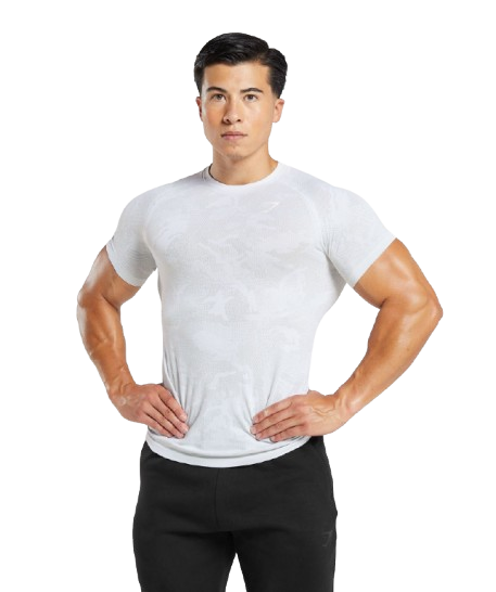 Gymshark Geo Seamless T Shirt White/light Grey
