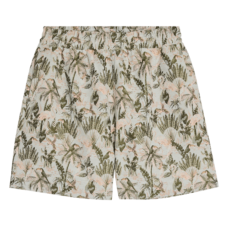 Pleasures Parrot Shorts 'grey'