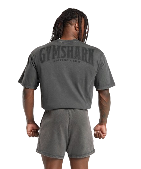 Gymshark Heritage Washed T Shirt Onyx Grey
