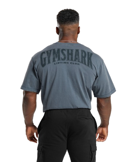 Gymshark Heritage Washed T Shirt Titanium Blue