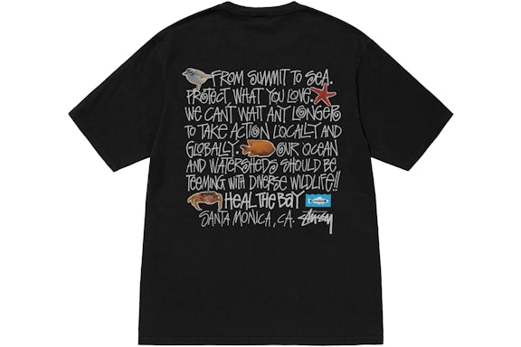 Stussy Heal The Bay Pigment Dyed Summit To Sea Tee Black